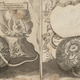 Illustration for article titled Columbia Just Digitized a Bestselling Anatomy Flipbook From the 1610s